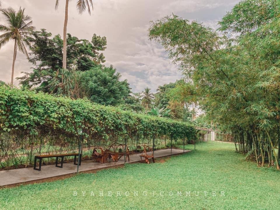 Dreamink Farm Og Myl'S Place Sorsogon Kültér fotó