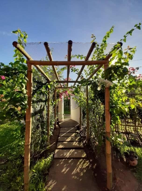 Dreamink Farm Og Myl'S Place Sorsogon Kültér fotó