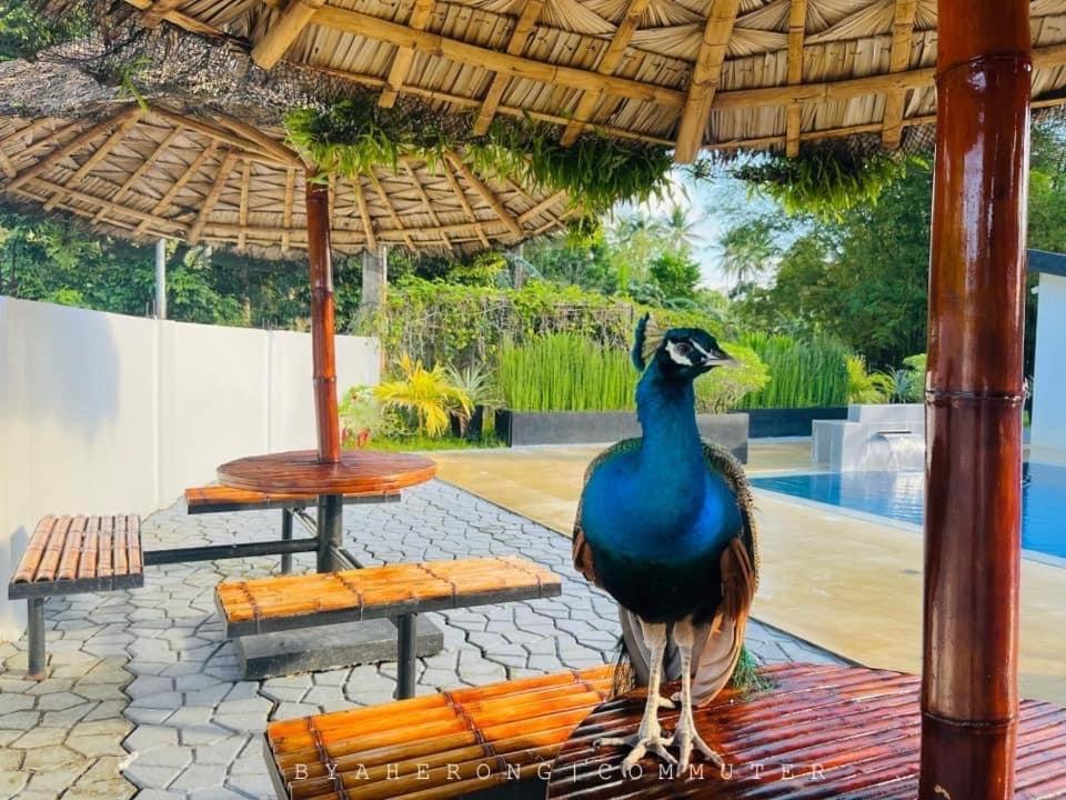 Dreamink Farm Og Myl'S Place Sorsogon Kültér fotó